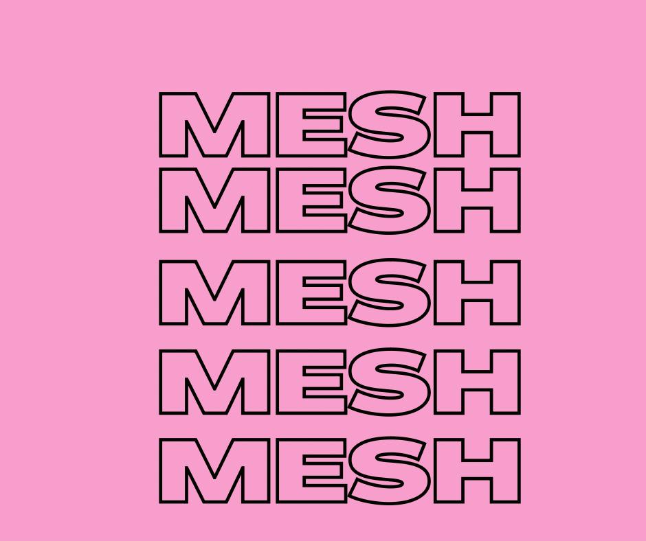 MESH ( COVER UP )