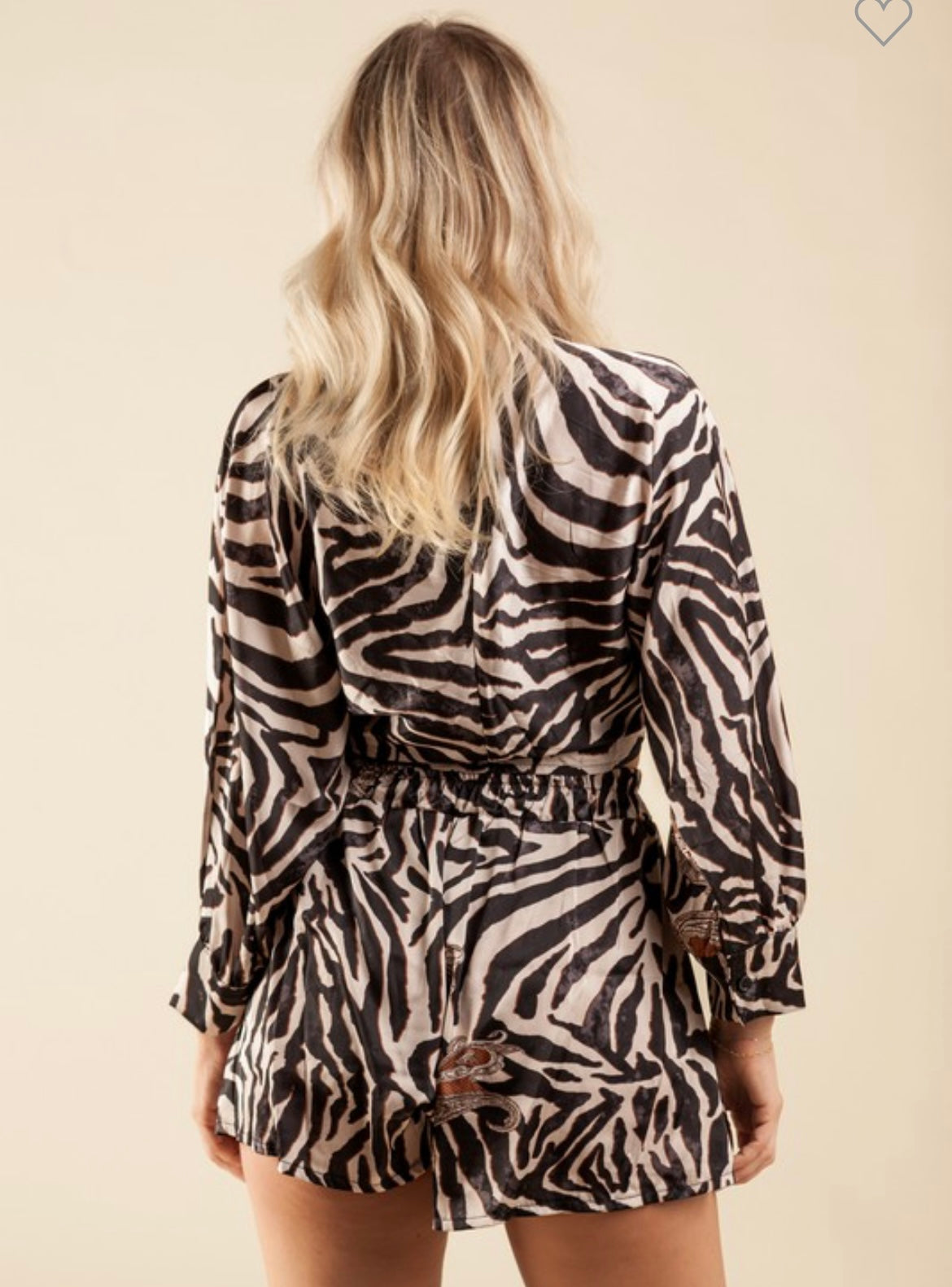 Set Zebra